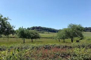 V.O.F. Stolk & Polak